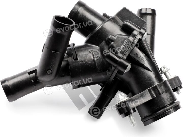 Hepu TM1398