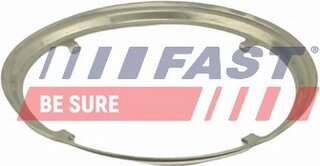 Fast FT84817