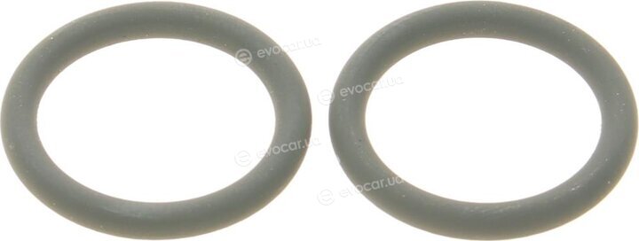 Elring 373.100