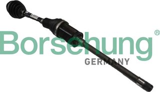 Borsehung B12493