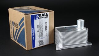 Kale 344395