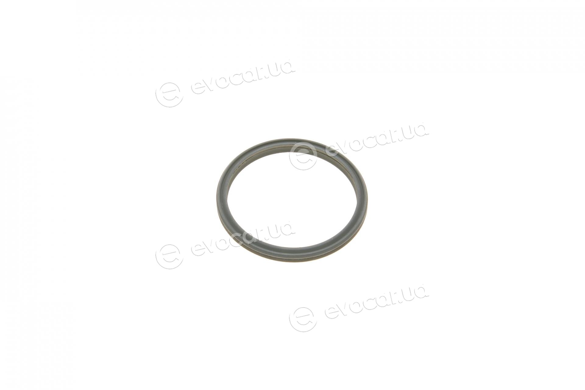 Elring 703.570
