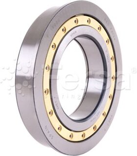 Fersa F 19010