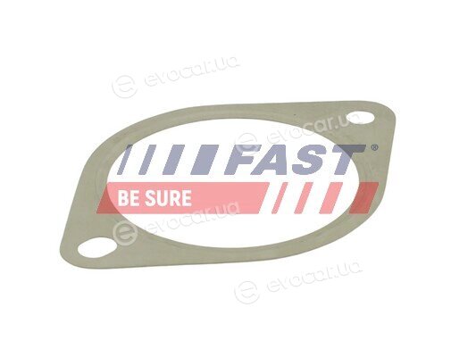 Fast FT84809