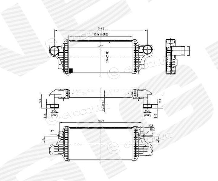 Signeda RI96438