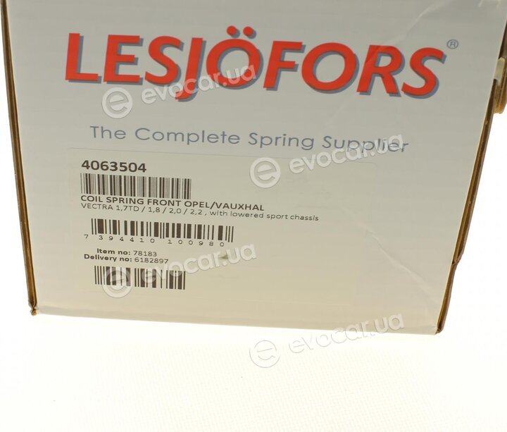 Lesjofors 4063504