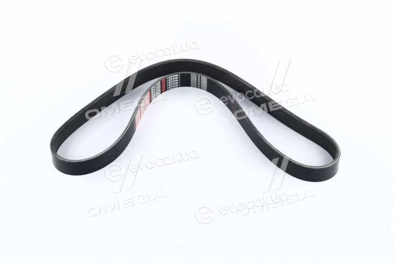 Dongil 6PK1030