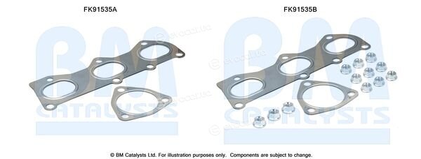 BM Catalysts FK91535