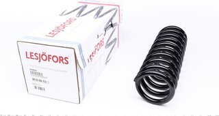 Lesjofors 4208441
