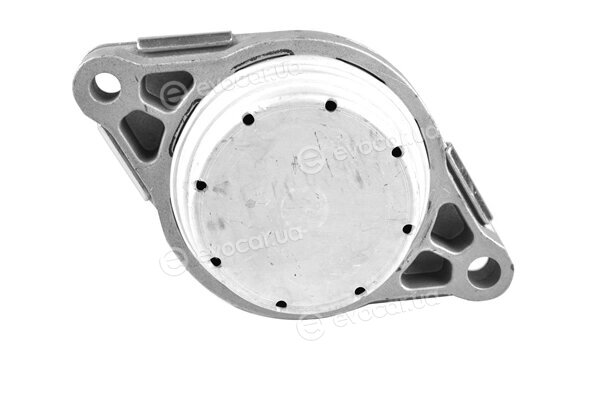 Tedgum TED57271