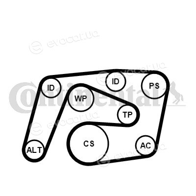 Continental 6PK2260WP2