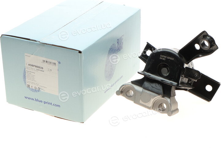 Blue Print ADBP800539