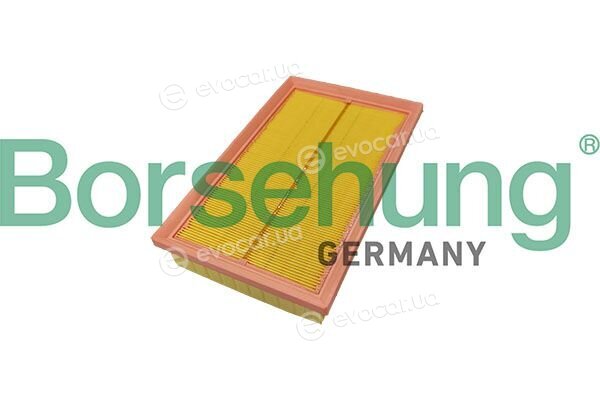 Borsehung B13065