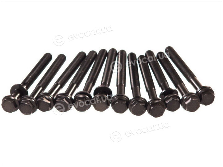 Payen HBS011