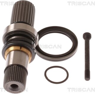 Triscan 8540 295005