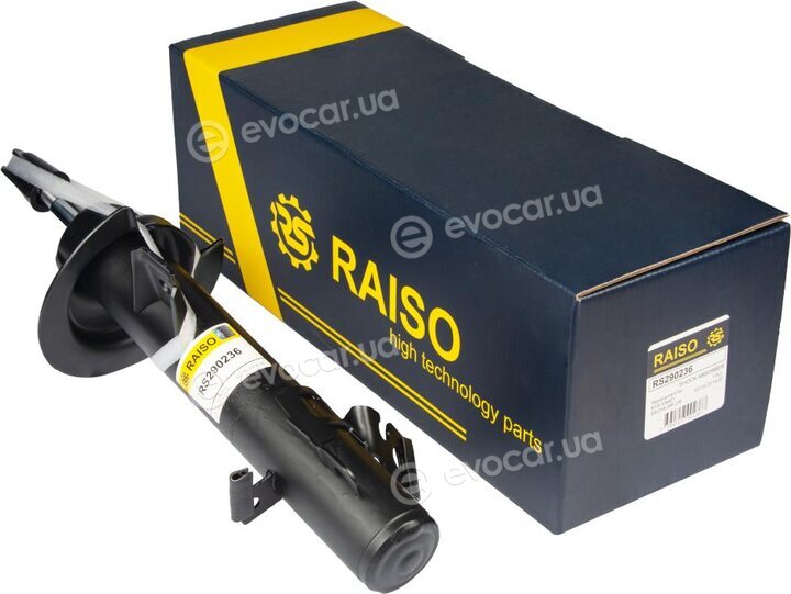 Raiso RS290236