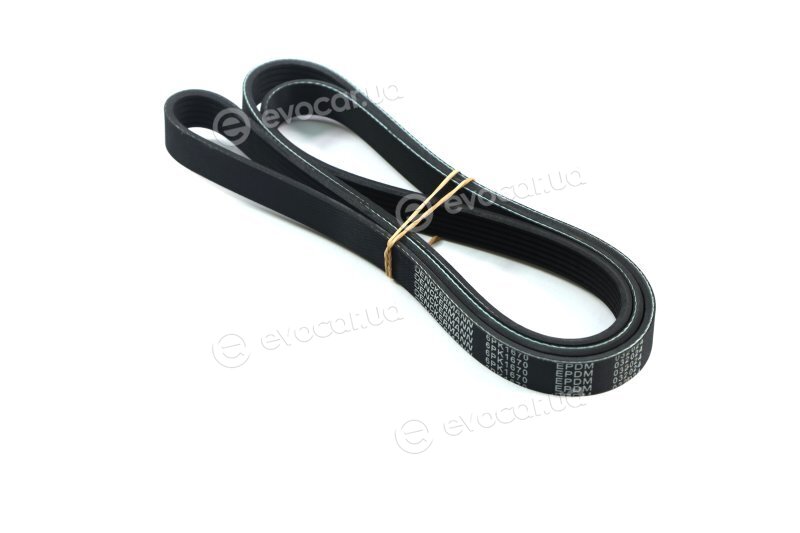 Denckermann 6PK1670