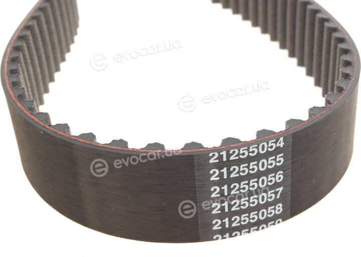 Dayco 94944