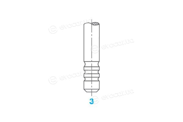Osvat 1136