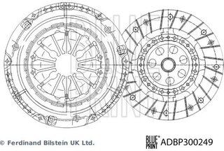 Blue Print ADBP300249