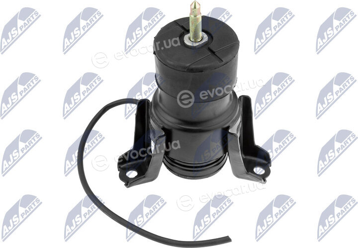 NTY ZPS-NS-170