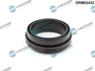 Dr. Motor DRM02422