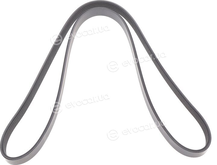 Dayco 5PK1330