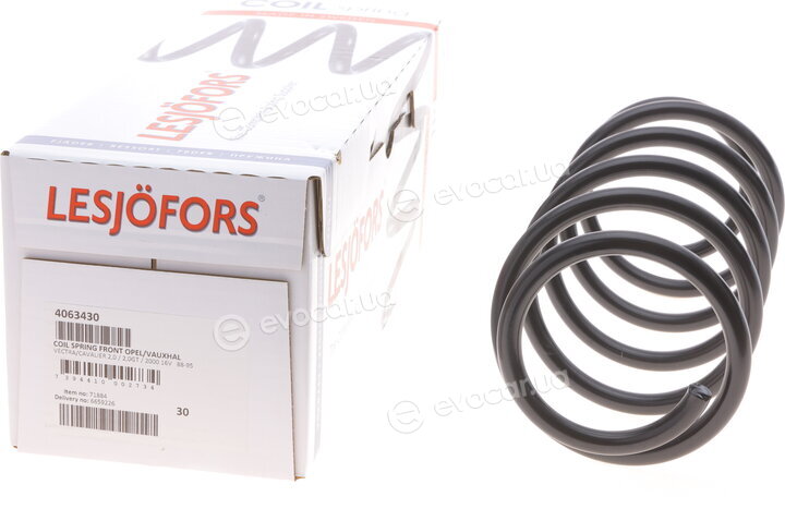Lesjofors 4063430
