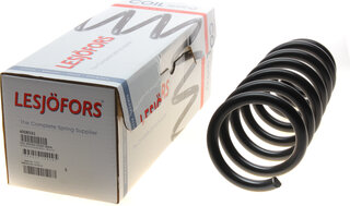 Lesjofors 4008531