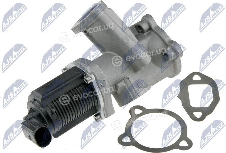 NTY EGR-FT-001