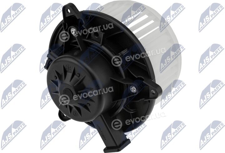 NTY EWN-PL-003