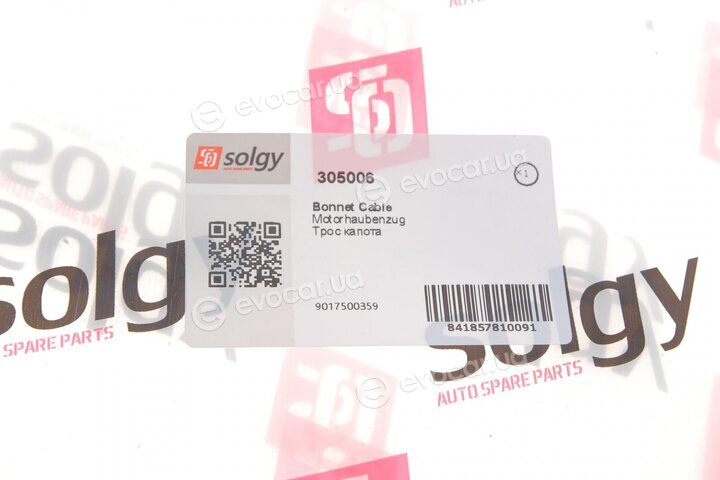 Solgy 305006