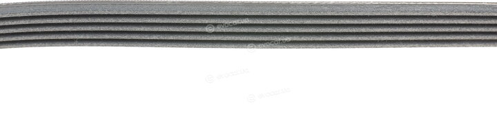 Continental 5PK1030