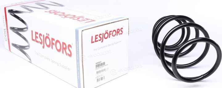 Lesjofors 4092637