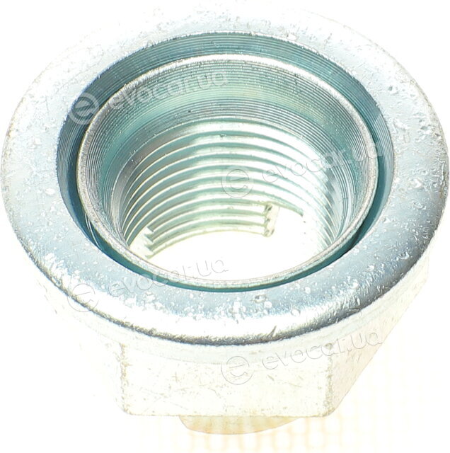 Solgy 216160