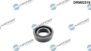 Dr. Motor DRM02519