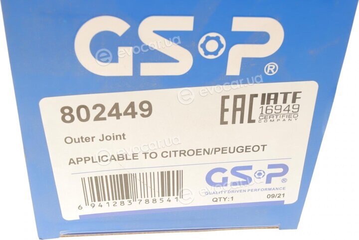GSP 802449