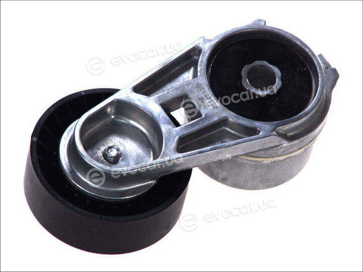Dayco APV2488