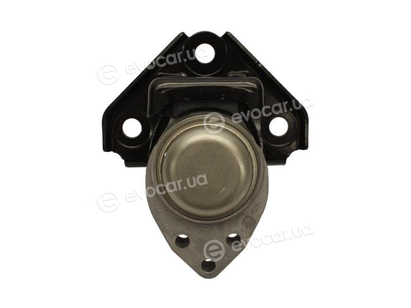 Starline SM 0652