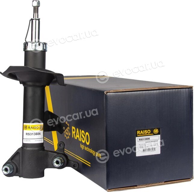 Raiso RS313606