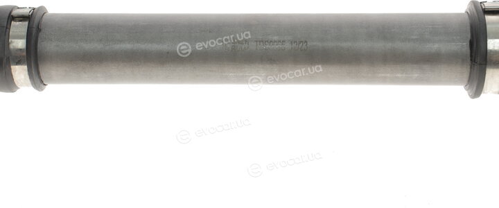 Magneti Marelli 302004190065
