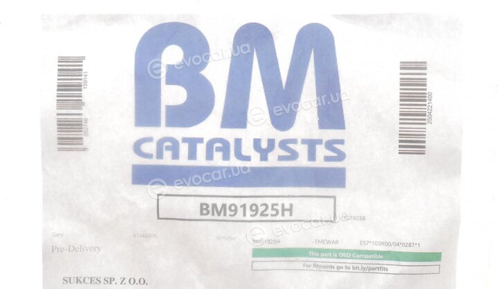 BM Catalysts BM91925H