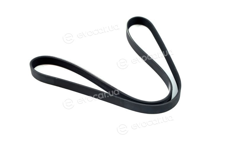 Dayco 6PK1264