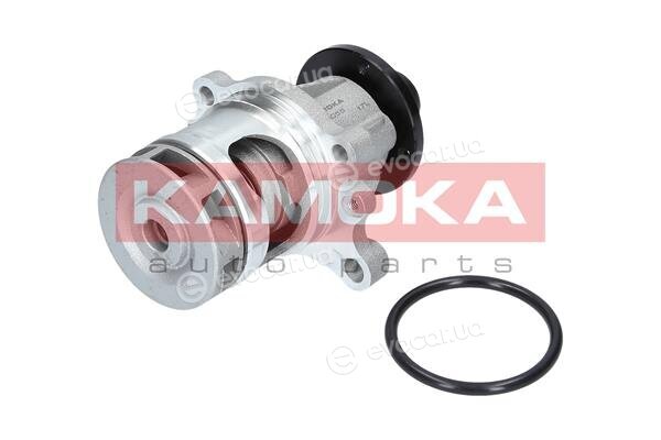 Kamoka T0056