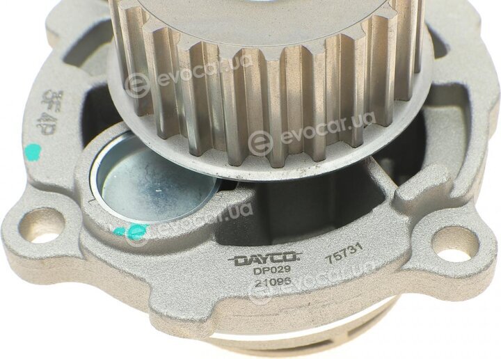 Dayco KTBWP2530