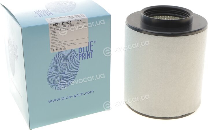 Blue Print ADBP220036