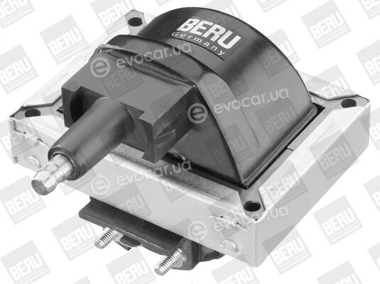 Beru ZS251