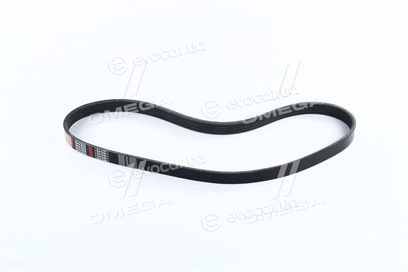 Dongil 5PK835