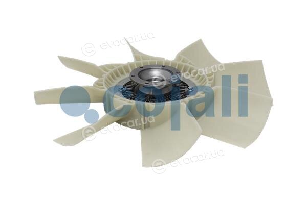 Cojali 7085110
