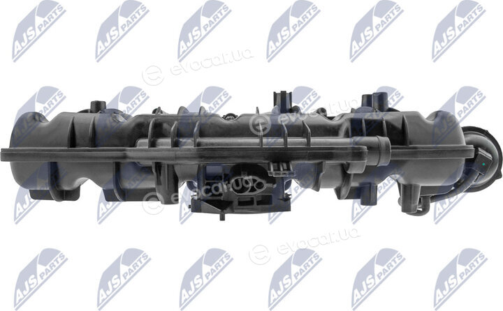 NTY BKS-VW-018